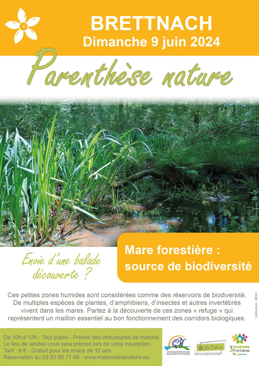 260609_mare_forestiere_source_de_biodiversite_brettnach_web.jpg